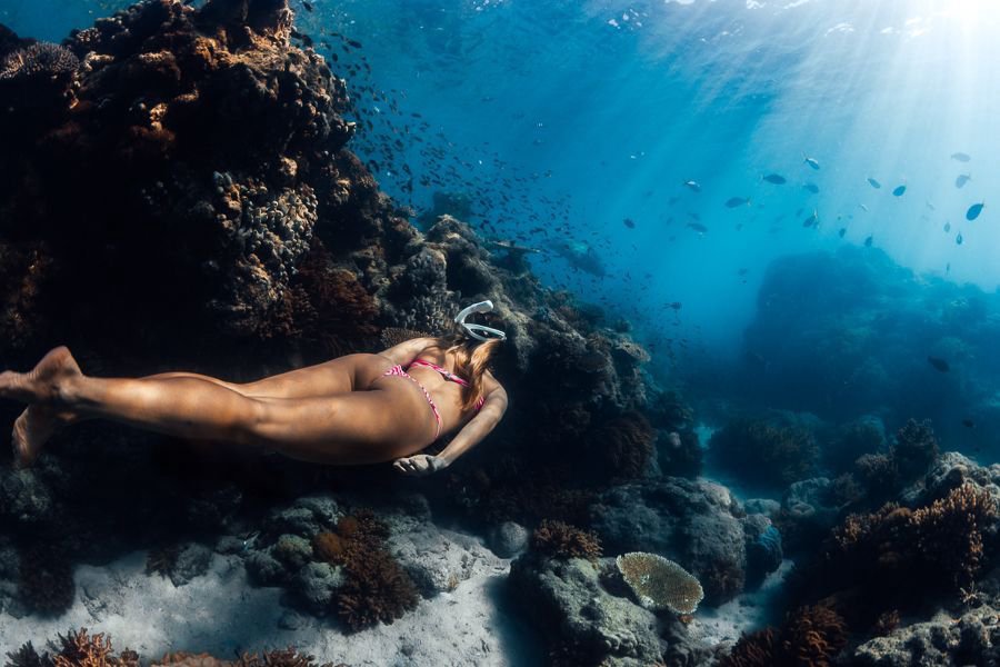 Guest snorkelling underwater over coral reef in clear Whitsundays waters