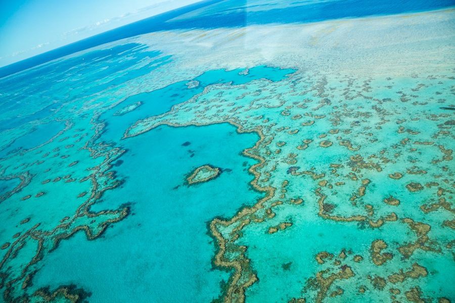Aerial view of vibrant turquoise coral formations and reef lagoons in the Great Barrier Reef, Whitsundays