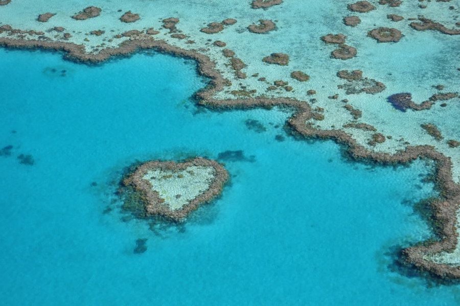 Aerial view of the iconic Heart Reef surrounded by clear turquoise waters in the Great Barrier Reef, Whitsundays