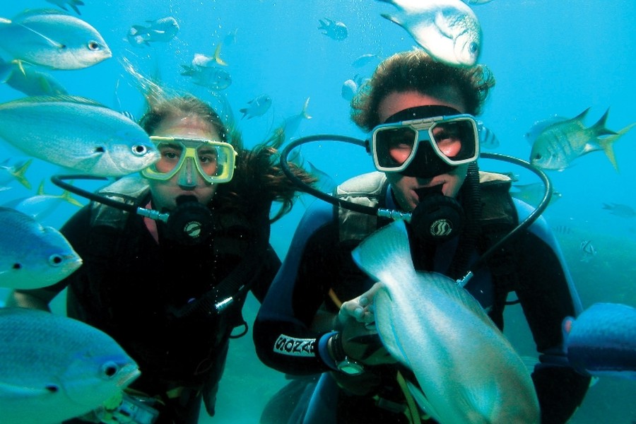 Two scuba divers underwater surrounded by tropical reef fish in clear blue water in the Whitsundays