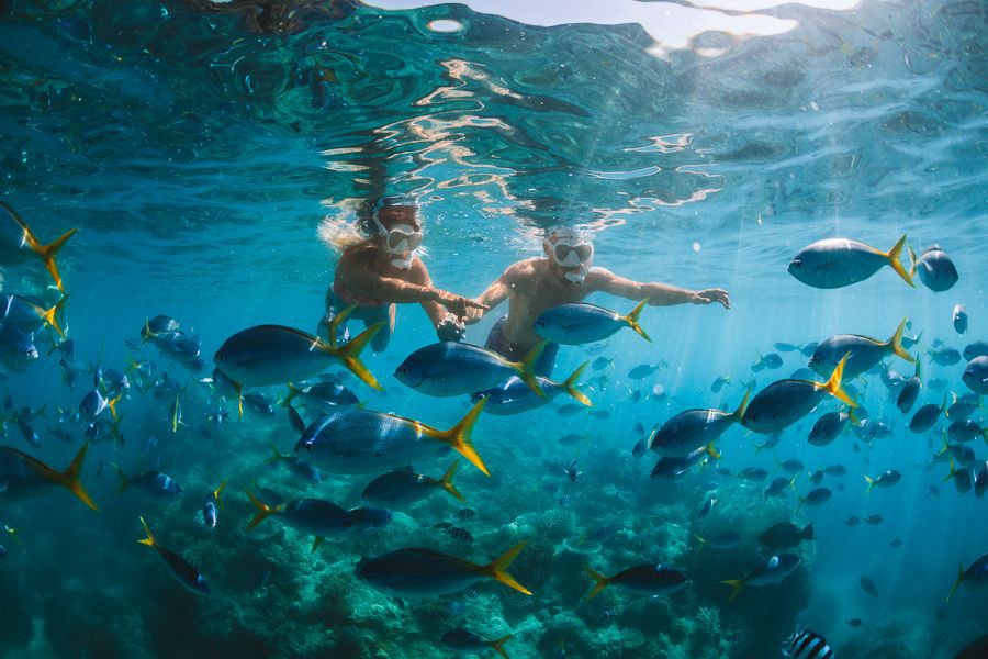 Two snorkellers swimming underwater surrounded by a large school of tropical fish above coral reef in clear blue water
