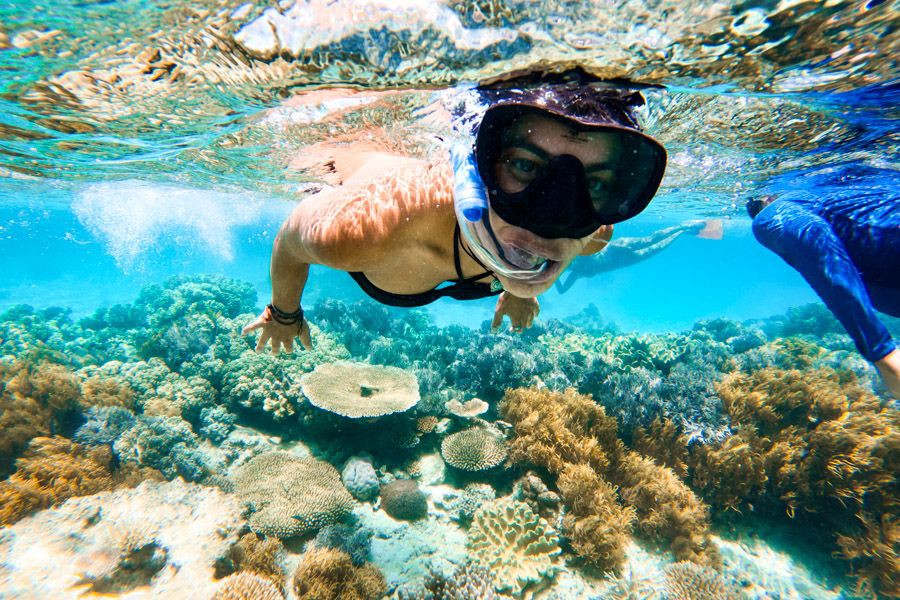 A snorkeller wearing a mask and snorkel swims above a vibrant coral reef in the clear turquoise waters of the Whitsundays
