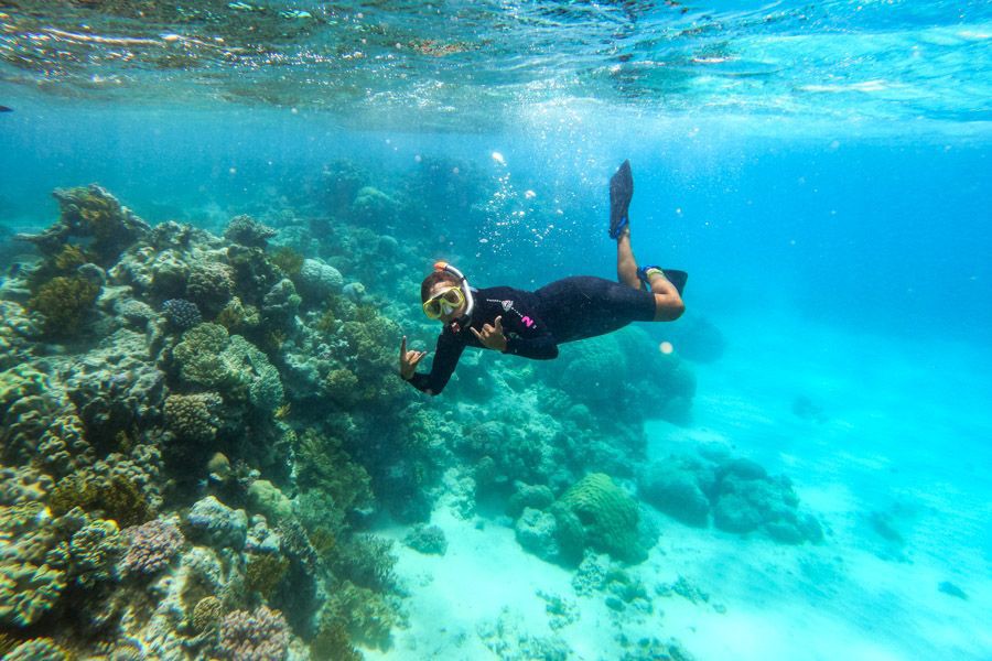 Snorkeller in a wetsuit and mask swimming above vibrant coral formations in clear blue water on the Great Barrier Reef