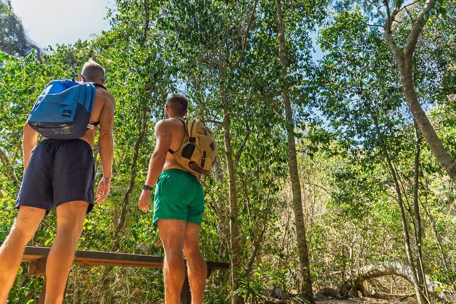 Two travellers with backpacks walking along a tropical rainforest boardwalk in the Whitsundays