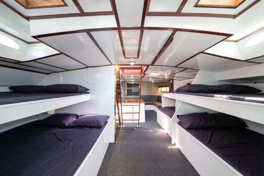 nterior of a shared bunk-style cabin with multiple single beds inside a sailing vessel in the Whitsundays