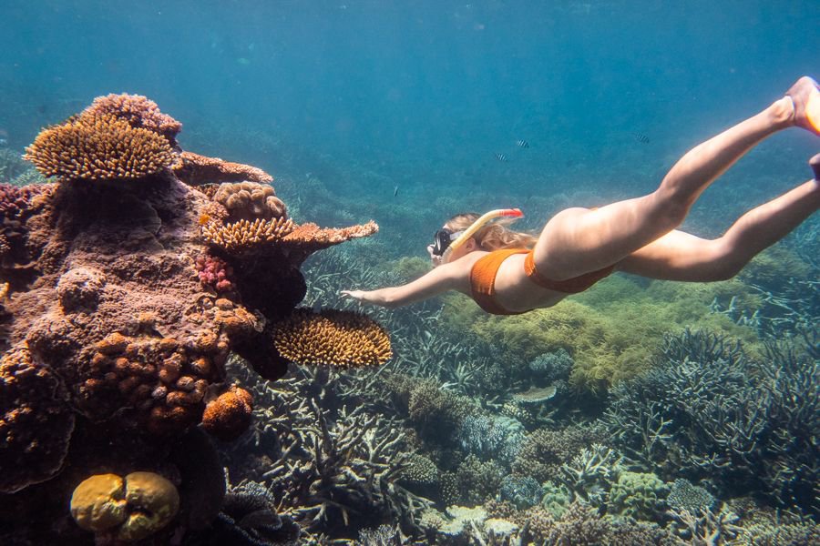 Woman snorkelling above colourful coral reef on the Great Barrier Reef in the Whitsundays