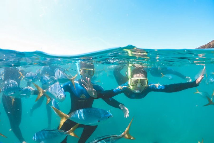 Two snorkellers swimming among tropical fish in clear turquoise waters of the Whitsundays