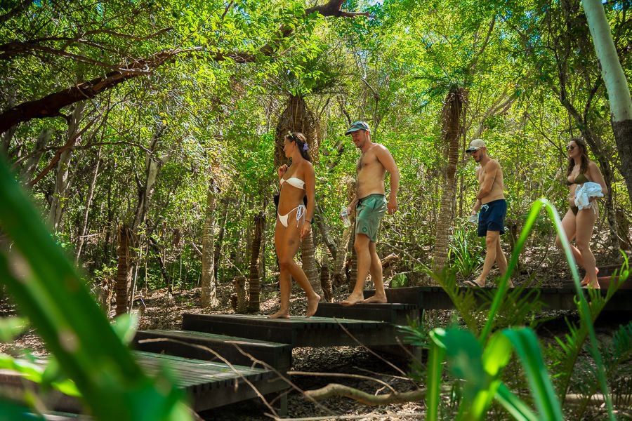 Guests walking along a boardwalk during an island bushwalk in the Whitsundays
