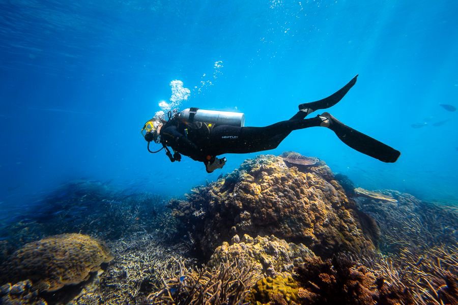 Diver exploring coral reef while scuba diving in the Whitsundays