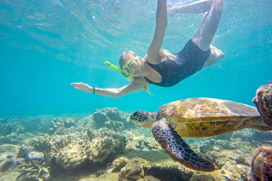 Guest snorkelling alongside a sea turtle over coral reef in the Whitsundays
