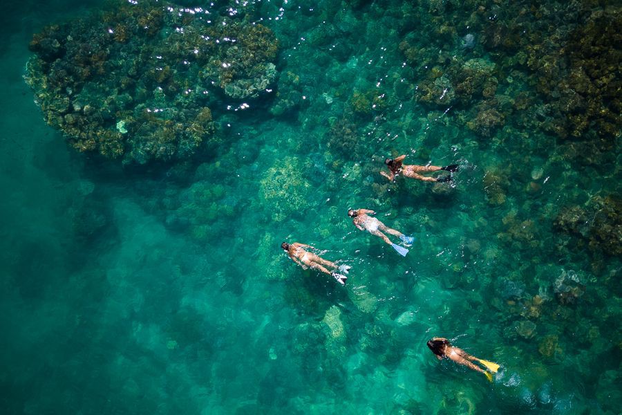 Aerial view of four people snorkelling above a vibrant coral reef in clear turquoise waters of the Whitsundays, Great Barrier Reef, Queensland