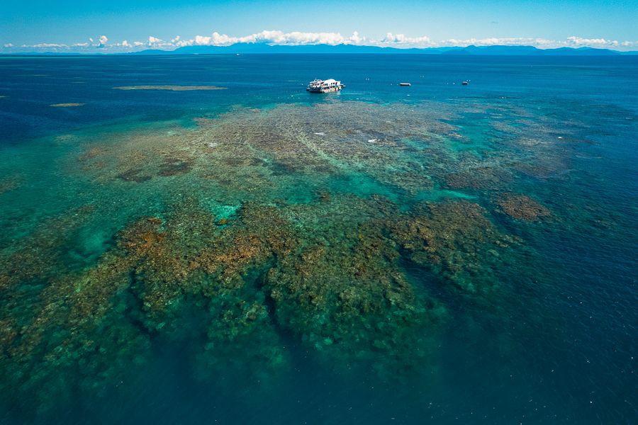 Platform Reef Examples Reef Magic Pontoon Day Tour - Cairns-Tours