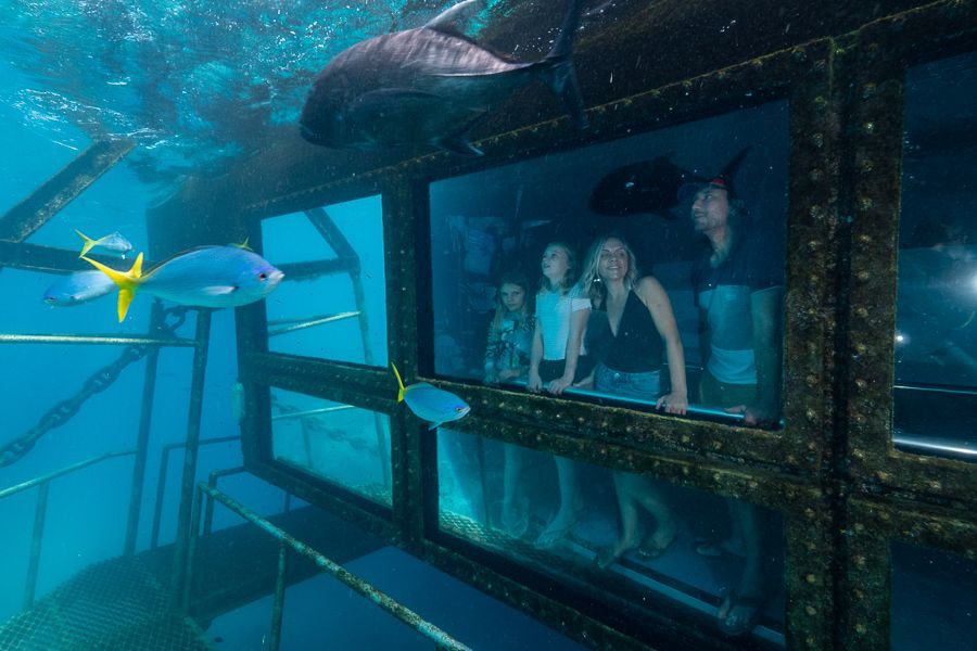 Reef Magic Pontoon Day Tour - Cairns-Tours