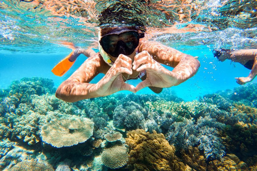 A snorkeller wearing a mask and fins forms a heart shape with their hands while swimming above colourful coral on the Great Barrier Reef in the Whitsundays