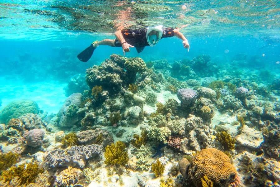 A snorkeller wearing a full-face mask swims above a colourful coral reef in clear turquoise water in the Whitsundays