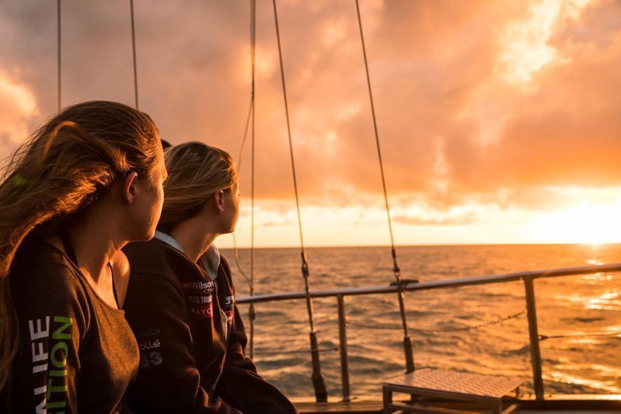 Camira Sunset Sail