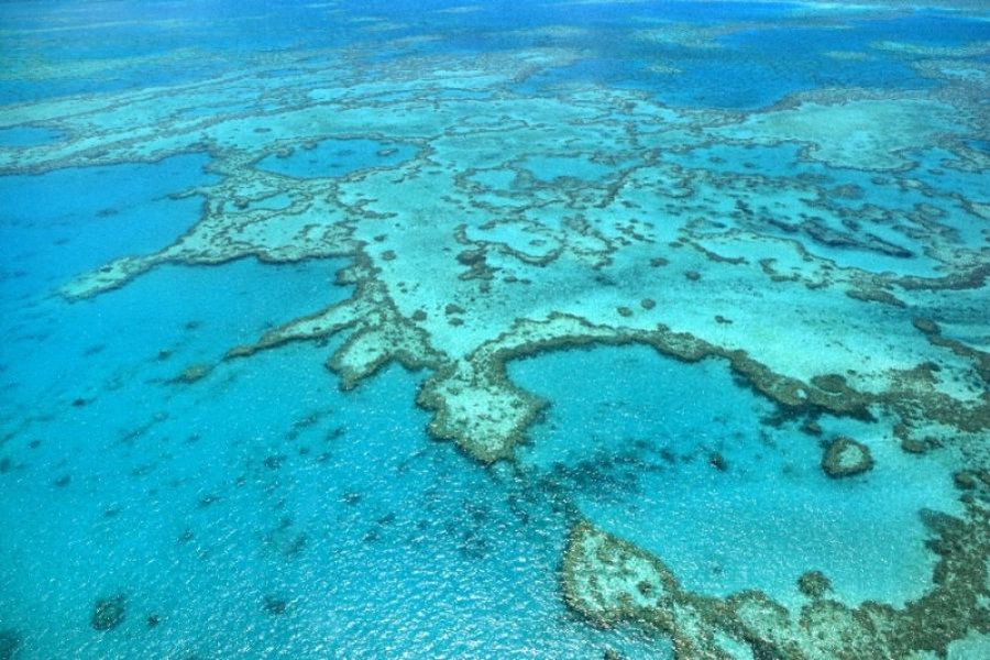 Aerial view of vibrant turquoise waters and intricate coral formations of the Great Barrier Reef in the Whitsundays.