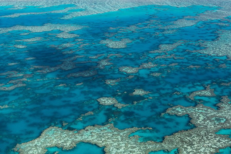 Aerial view of vibrant turquoise waters and intricate coral of the Great Barrier Reef in the Whitsundays.