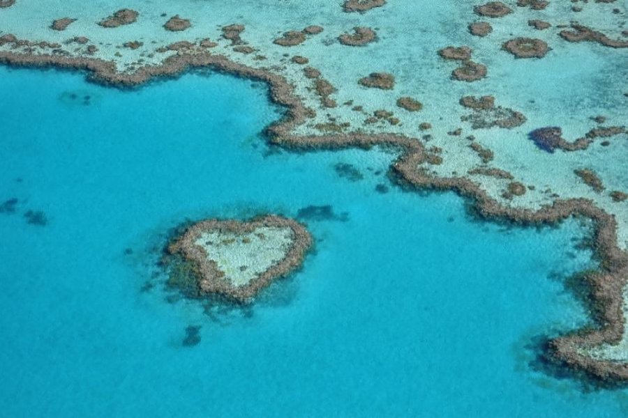 Aerial view of the iconic Heart Reef, a naturally formed heart-shaped coral reef surrounded by turquoise waters in the Great Barrier Reef, Whitsundays