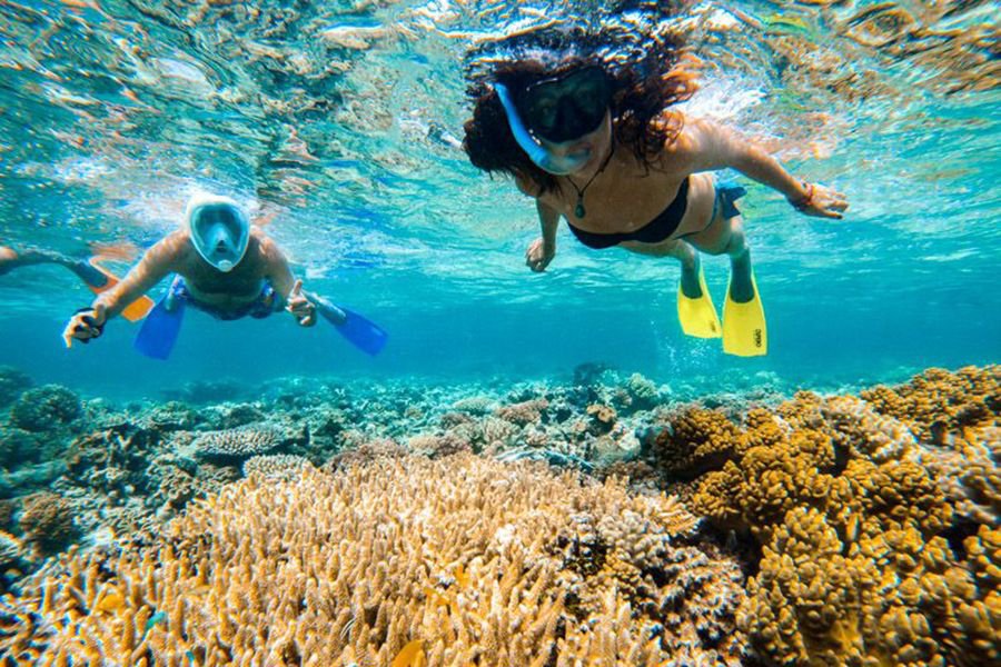 Two snorkellers swimming above colourful coral reef in clear tropical water with fins and snorkel masks.