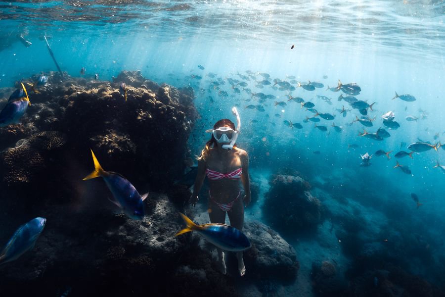 Woman snorkelling above a vibrant coral reef surrounded by tropical fish in clear blue water in the Whitsundays.