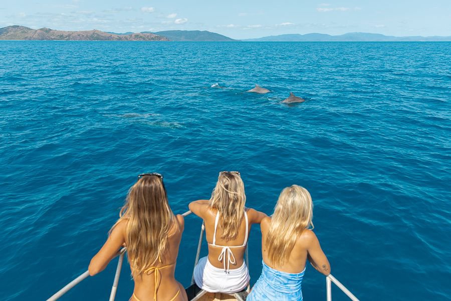 three women sitting on a sailboat watching dolphins play in the blue ocean waters