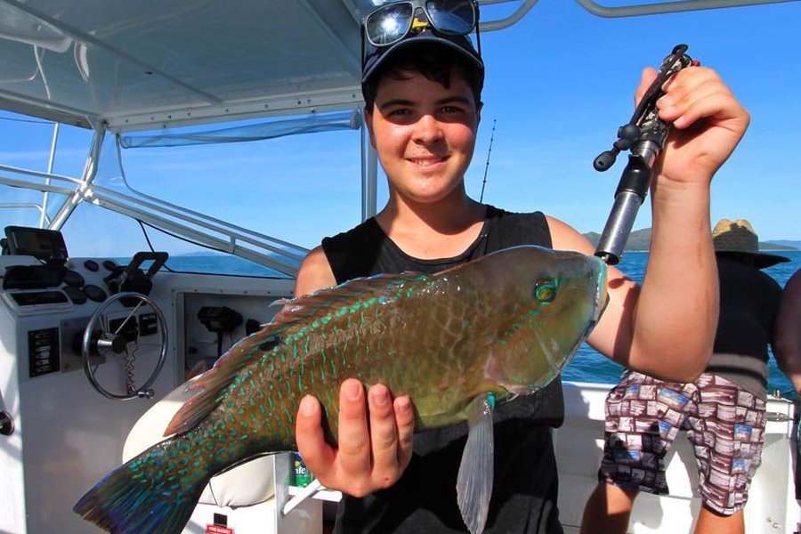 man holding up a fish on a hook during a whitsunday islands fishing trip