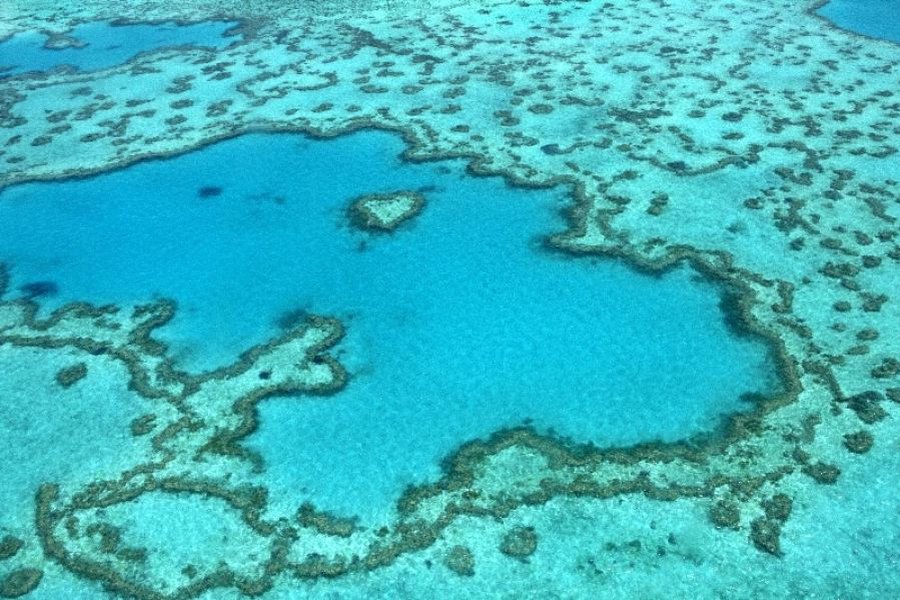aerial view of corals and Heart Reef on the Great Barrier Reef Whitsundays