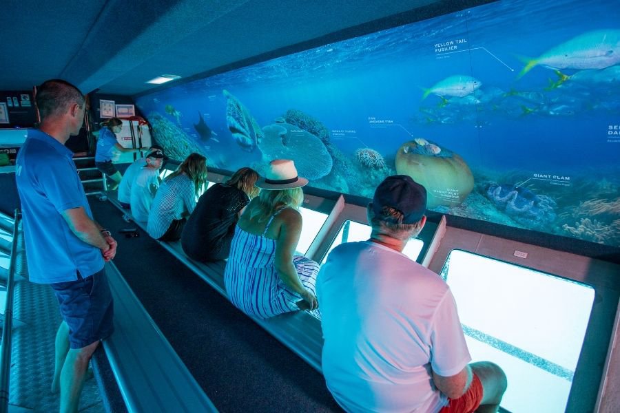 Guests sitting in the Reefworld semi-submersible boat looking at to the underwater marine life