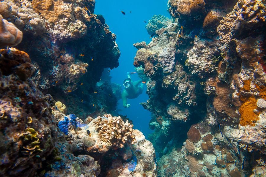 snorkeller swimming through towering reef walls covered in colourful corals