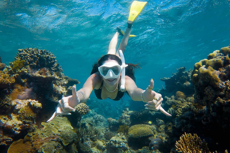snorkeller posing for underwater camera while swimming past majestic coral reefs