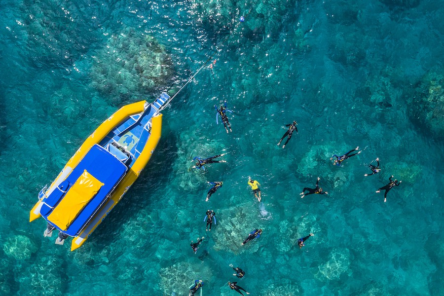 Ocean Raftng Half Day Splash Afternoon Reef & Snorkel Adventure From Hamilton Island ...